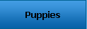 Puppies